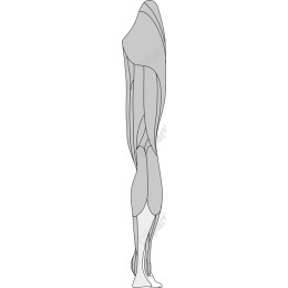 Elegant Flowing Figure