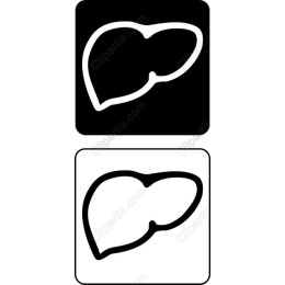 Stylish Liver