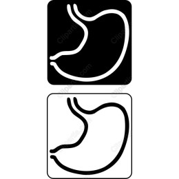 Stylized Stomach