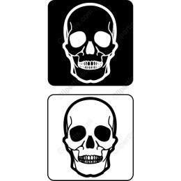 Black and White Skull