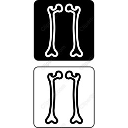 Dog Bone