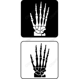 Human Skeletal Hand