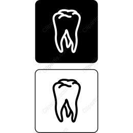 Premium Tooth