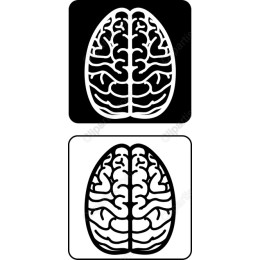 Creative Brain