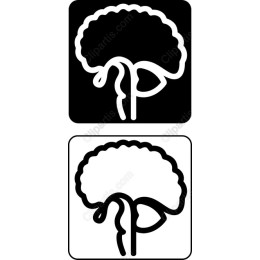 Stylized Brain