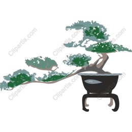 Bonsai Tree - Elegant