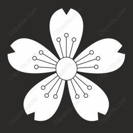 Minimalist Floral