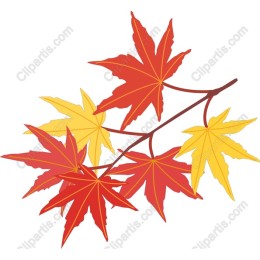 Vibrant Maple Leaf Branch