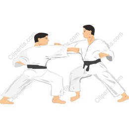 Dynamic Karate Practitioners