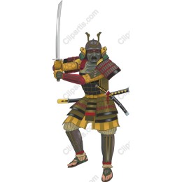 Samurai Warrior