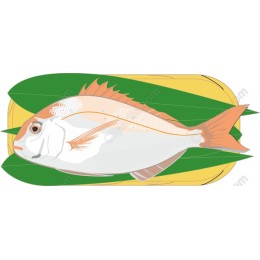 Fresh Fish on Green Leaves