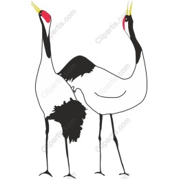 Elegant Cranes