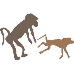 Charming Monkey and Dog