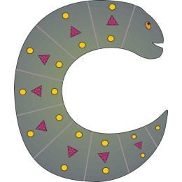 Whimsical C-Shaped Serpent
