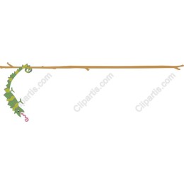 Playful Lizard