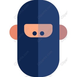 Ninja Character