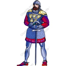 Vibrant Knight