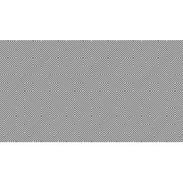 Black and White Chevron Pattern