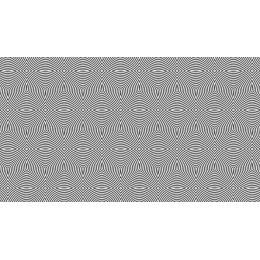 Elegant Black and White Wave Pattern