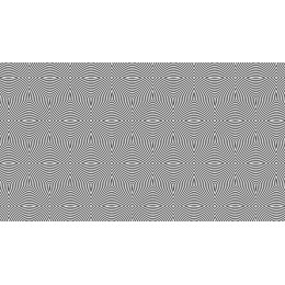 Modern Black and White Geometric Flow Pattern