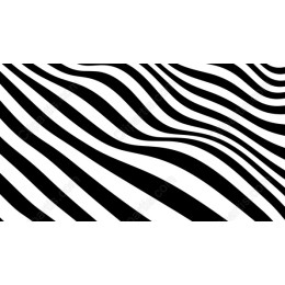 Black and White Wave Pattern