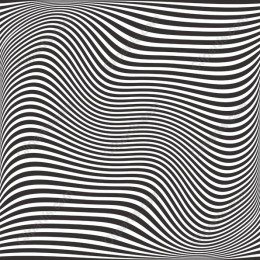 Dynamic Abstract Black and White Stripes