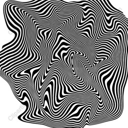 Dynamic Black and White Abstract