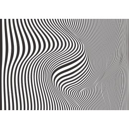 Dynamic Black and White Wavy Lines