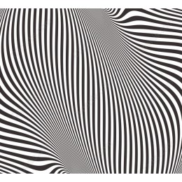 Black and White Striped