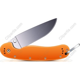 Folding Knife