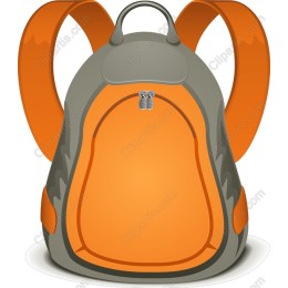 Stylish Backpack