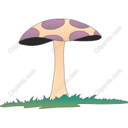 Whimsical Mushroom
