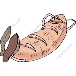 Playful Cartoon Fish