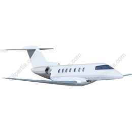 Elegant Private Jet