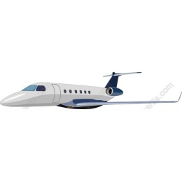Luxurious Private Jet