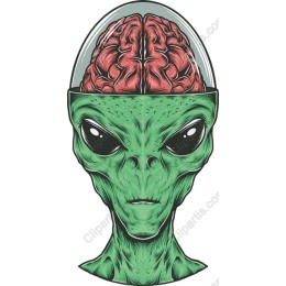 Alien Brain