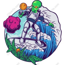 Alien Surfer