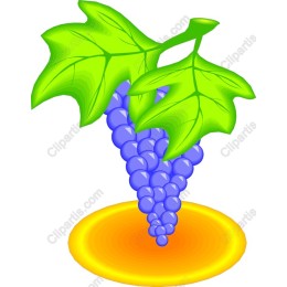 Grape Cluster