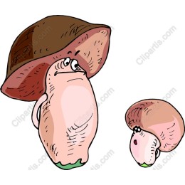 Whimsical Mushroom Duo