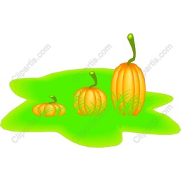 Pumpkin Trio