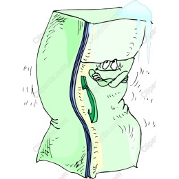 Chilly Fridge Character