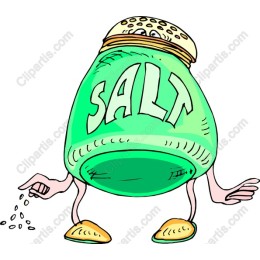 Whimsical Salt Shaker Character