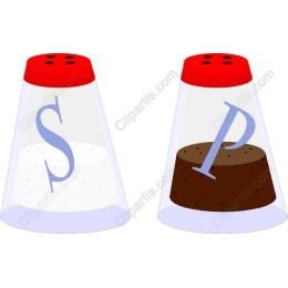 Salt and Pepper Shaker