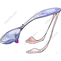 Whimsical Fashion Sandal