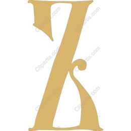 Elegant Letter Z
