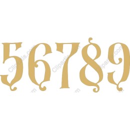 Elegant Decorative Numbers (5-9) in Gold - Collection