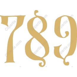Chic of Numbers 789
