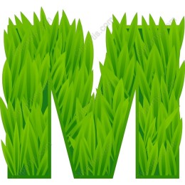 Lush Green Grass M
