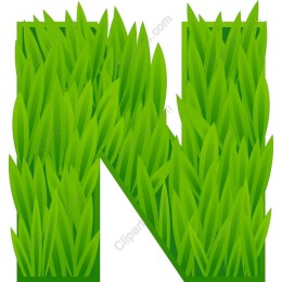 Green Grass Letter N