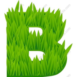 Lush Green Grass Letter 'B'